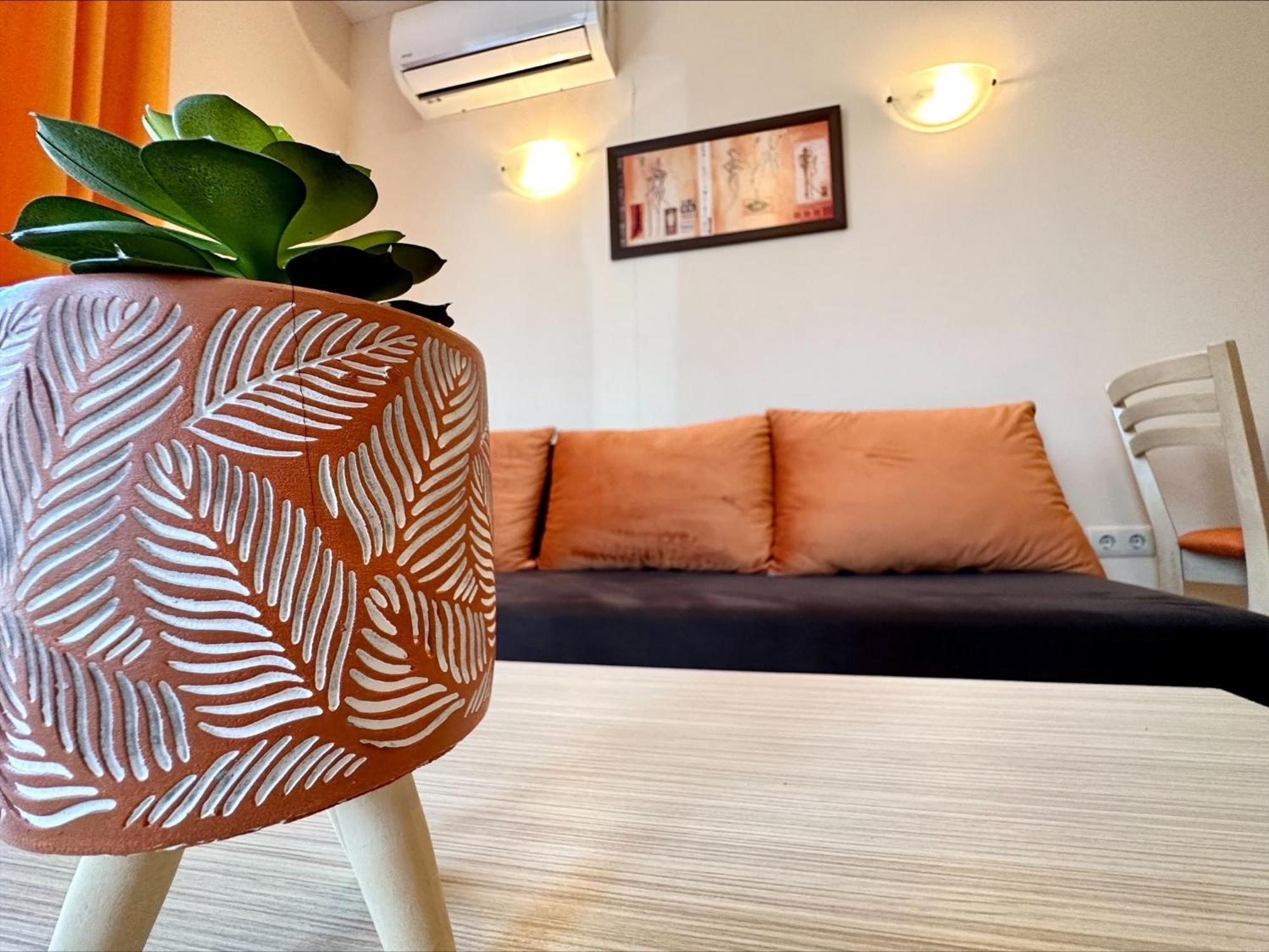 Menada Royal Sun Apartments 써니비치 객실 사진